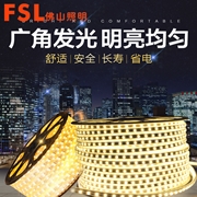 FSL 軟燈帶2835*60 220V5W57K/28K8MM星河系列IC款100M*1（單排）