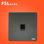 FSL 一位電腦插座(灰色) F31H-DN 100×1